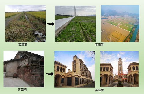 我司全域土地综合整治与生态修复工程项目被评为浙江省级精品工程
